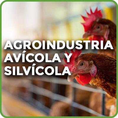 Agroindustria avícola y silvícola