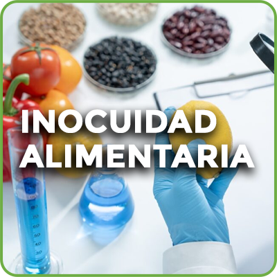 Inocuidad Alimentaria