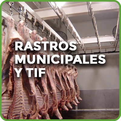 Rastros municipales y TIF
